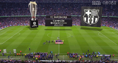 🏆2025中国足协杯决赛🆚北京国安VS河南俱乐部